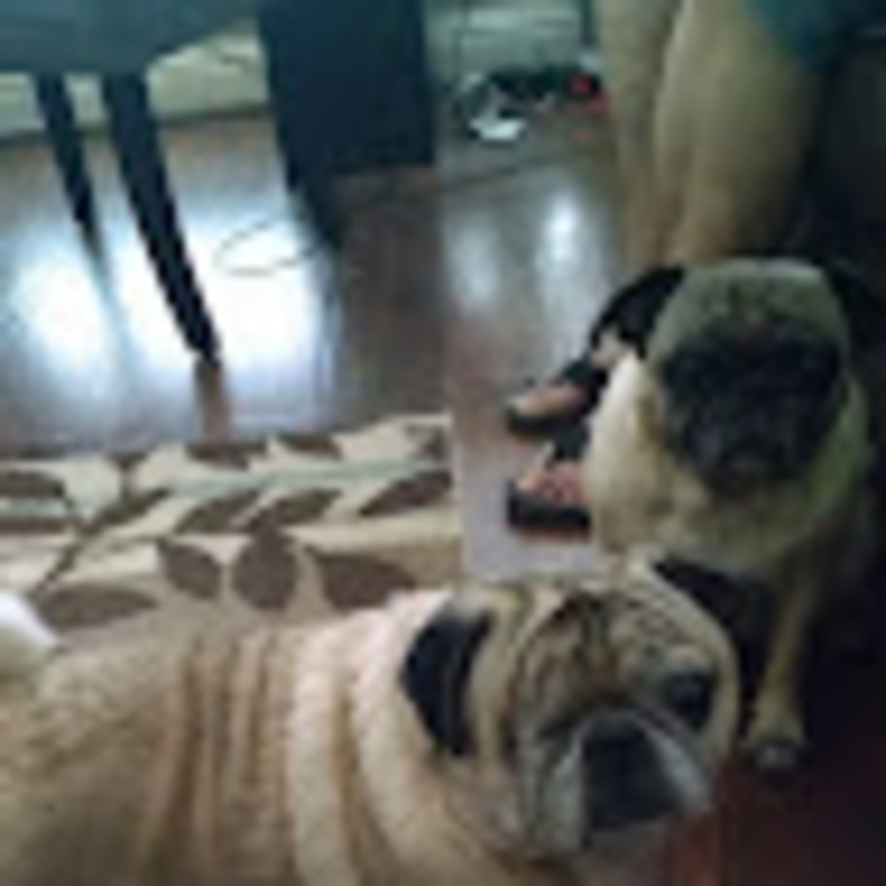 Meet your Posher, Leslie